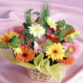 IFA認定アロマセラピスト